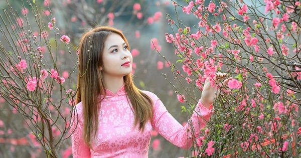 lich nghi tet nguyen dan giap thin 2024 nguoi lao dong duoc nghi bao nhieu ngay lich nghi tet nguyen dan giap thin 2024 nguoi lao dong duoc nghi bao nhieu ngay