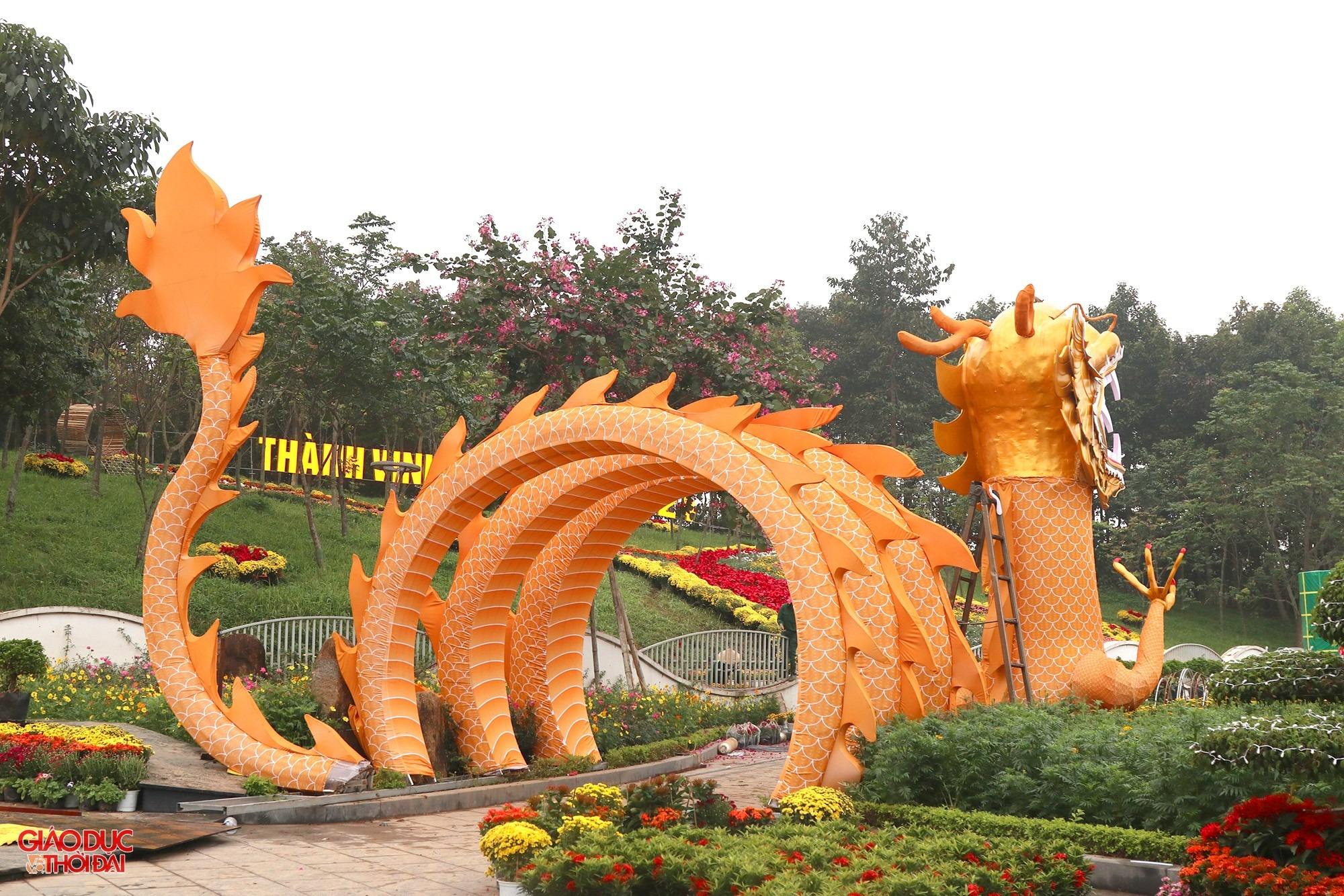 linh vat rong dai 30m mieng ngam vien ngoc o nghe an vua ra mat gay bao mang xa hoi 4 linh vat rong dai 30m mieng ngam vien ngoc o nghe an vua ra mat gay bao mang xa hoi 4