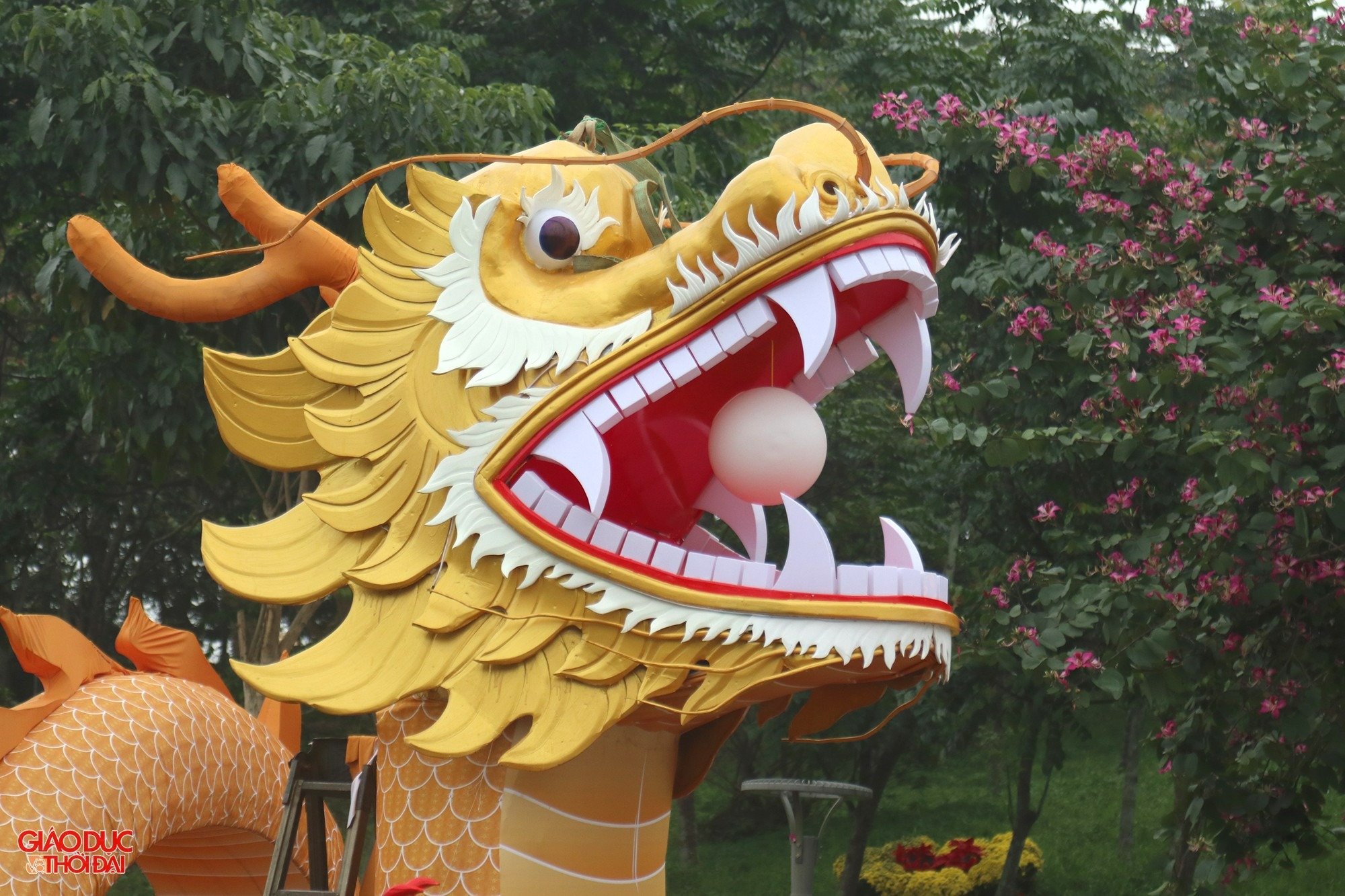 linh vat rong dai 30m mieng ngam vien ngoc o nghe an vua ra mat gay bao mang xa hoi 5 linh vat rong dai 30m mieng ngam vien ngoc o nghe an vua ra mat gay bao mang xa hoi 5