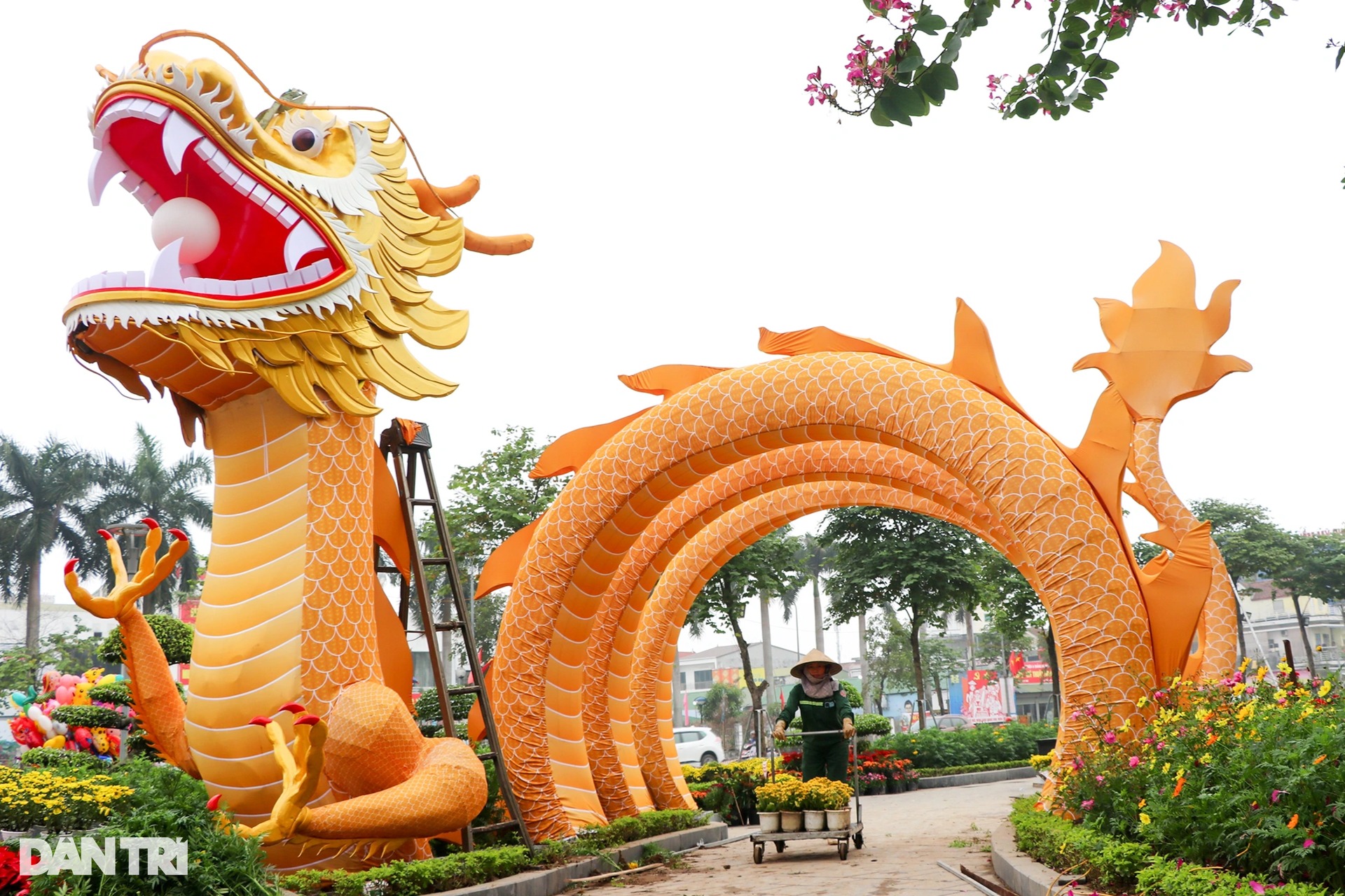 linh vat rong dai 30m mieng ngam vien ngoc o nghe an vua ra mat gay bao mang xa hoi 7 copy linh vat rong dai 30m mieng ngam vien ngoc o nghe an vua ra mat gay bao mang xa hoi 7 copy