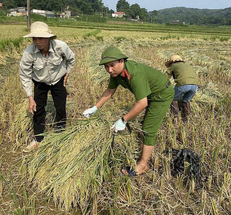 cong an doi nang xuong dong giup nguoi dan gat lua 1 cong an doi nang xuong dong giup nguoi dan gat lua 1