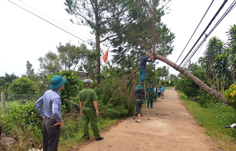 mua lon gay ngap ung o da lat nhieu nha dan bi toc mai o bao loc mua lon gay ngap ung o da lat nhieu nha dan bi toc mai o bao loc