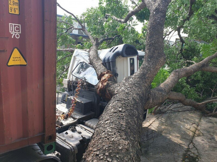 tai xe hoang loan khi cay co thu bat goc de mop cabin xe container 1