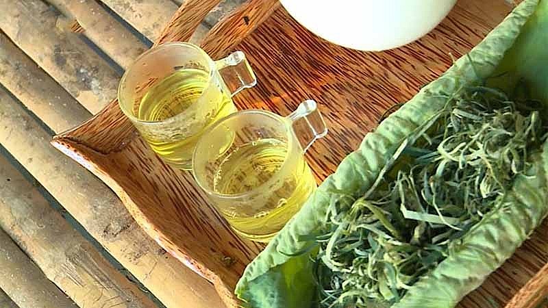 tra la sen tot nhung nhom nguoi nay nen tranh xa keo ruoc hoa vao than5