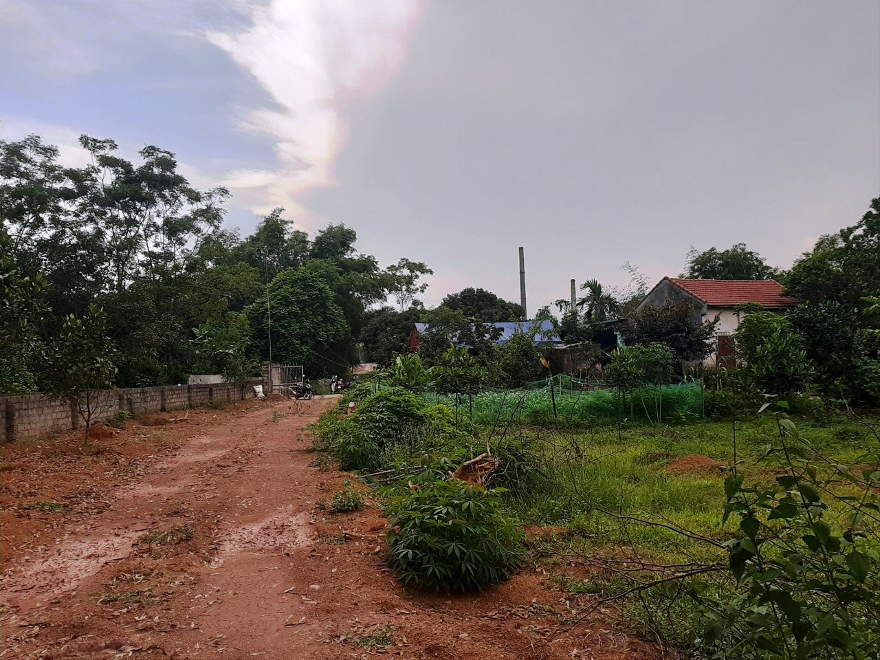 vu chau ban chet chu o thanh hoa tiet lo bat ngo ve so tam than va qua khu bat hao cua nghi pham vu chau ban chet chu o thanh hoa tiet lo bat ngo ve so tam than va qua khu bat hao cua nghi pham