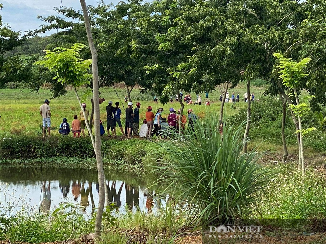 di lam dong kinh hai phat hien thi the nguoi phu nu duoi rong lua di lam dong kinh hai phat hien thi the nguoi phu nu duoi rong lua