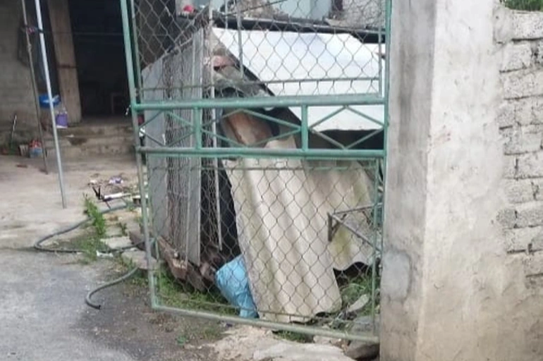 nghi con trai sat hai me gia 93 tuoi o nghe an chu tich xa tiet lo gi 