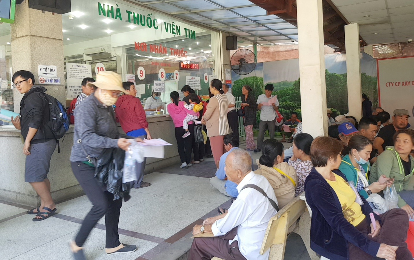vu hut mau tinh nguyen vien hien mau ubnd tp hcm chi dao gi 