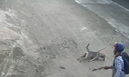vu clip cau tac chay thang xe may vao san ba n ha cho nang 20kg chu nha noi gi 2