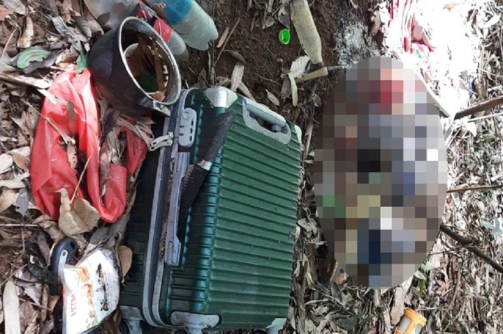 vu 2 bo xuong kho bi an giua rung vksnd gia lai thong tin bat ngo vu 2 bo xuong kho bi an giua rung vksnd gia lai thong tin bat ngo