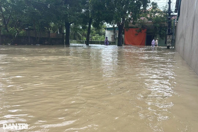 mua nhu trut nuoc o nghe an trang dem di tan nguoi dan den noi an toan 2 mua nhu trut nuoc o nghe an trang dem di tan nguoi dan den noi an toan 2