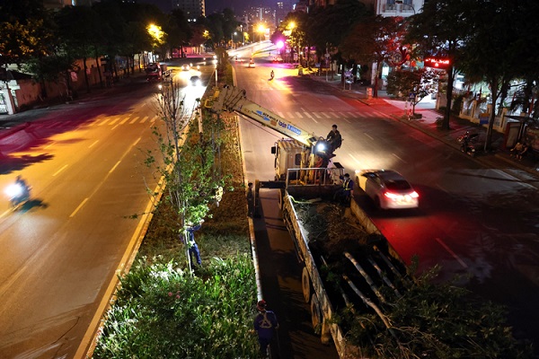 ha noi danh chuyen hon 200 cay phong la do do khong hop khi hau 03