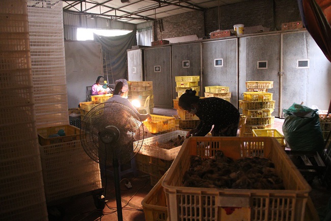 nghe la chi ngoi ca ngay kiem 60 trieu thang nhung van thieu nguoi lam 01 nghe la chi ngoi ca ngay kiem 60 trieu thang nhung van thieu nguoi lam 01