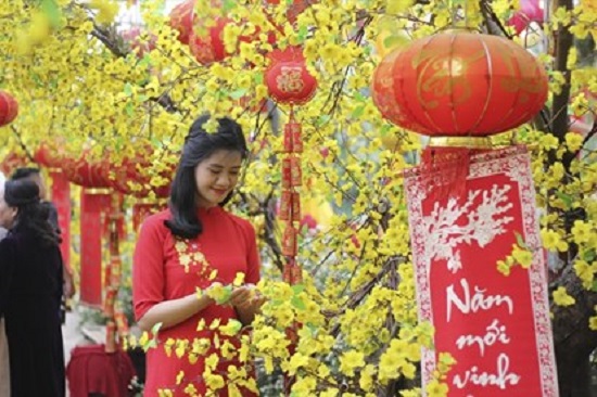 tp hcm va hon 10 tinh thanh cong bo lich nghi tet nguyen dan cho hoc sinh 01 tp hcm va hon 10 tinh thanh cong bo lich nghi tet nguyen dan cho hoc sinh 01