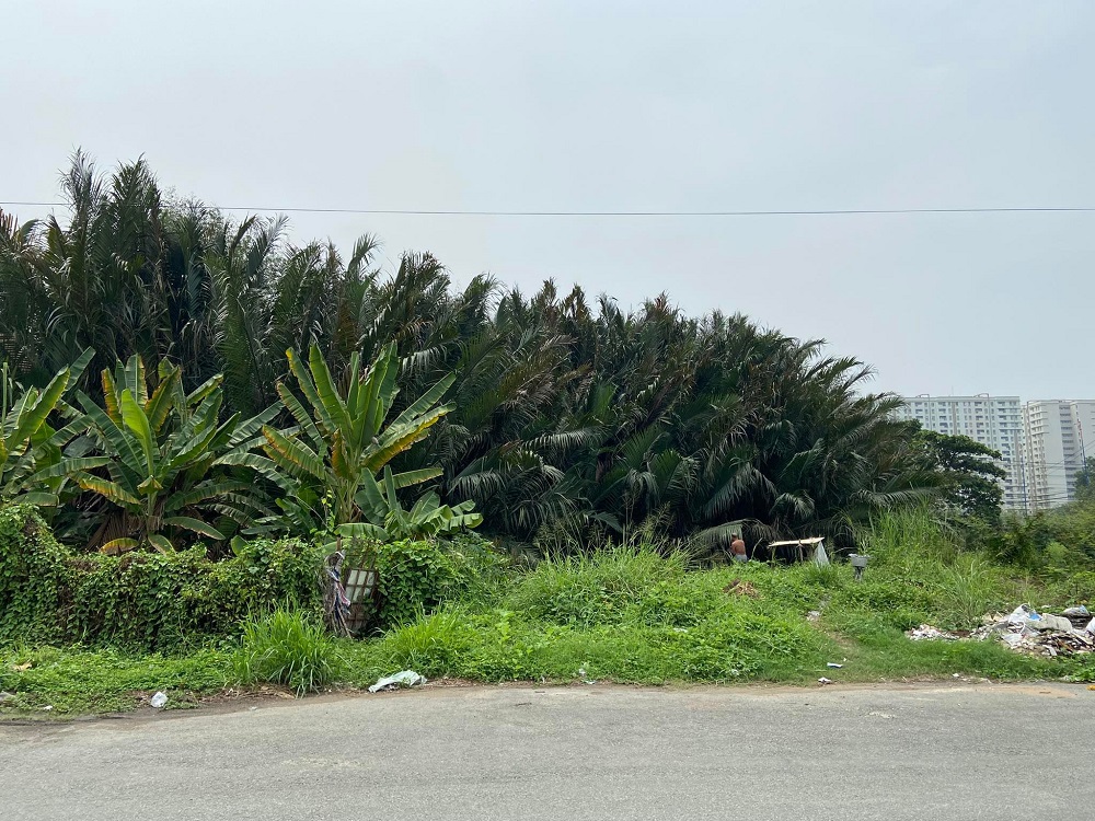 du an chua giai phong mat bang chua co quy hoach 1 500 chu dau tu an phu an khanh ban dat nen duoc khong 01