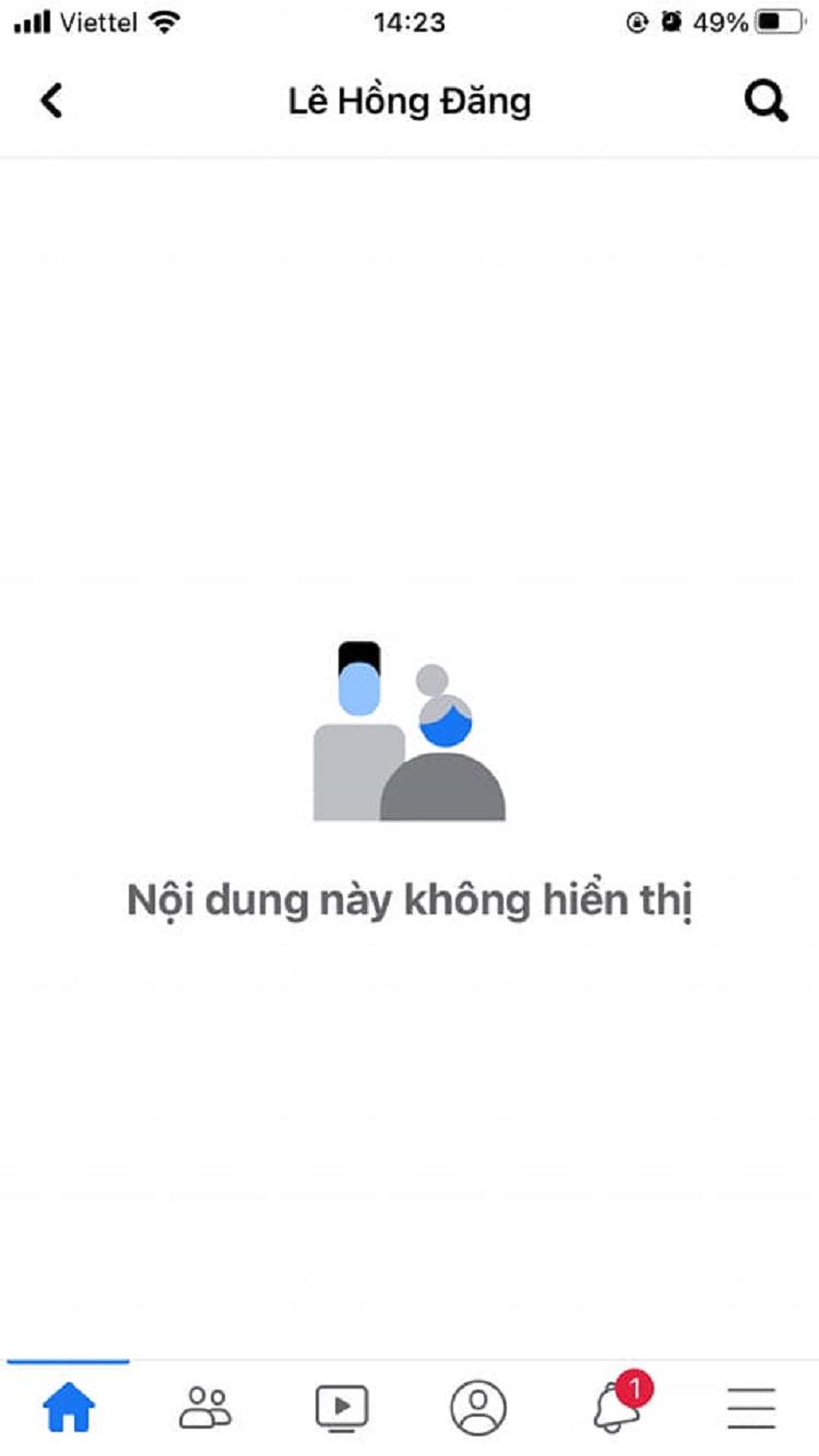 dien bien xoay quanh vu hong dang va ho hoai anh nghi vuong be boi o nuoc ngoai 04