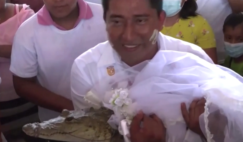 thi truong mexico cuoi ca sau de mong mua mang boi thu 01 thi truong mexico cuoi ca sau de mong mua mang boi thu 01