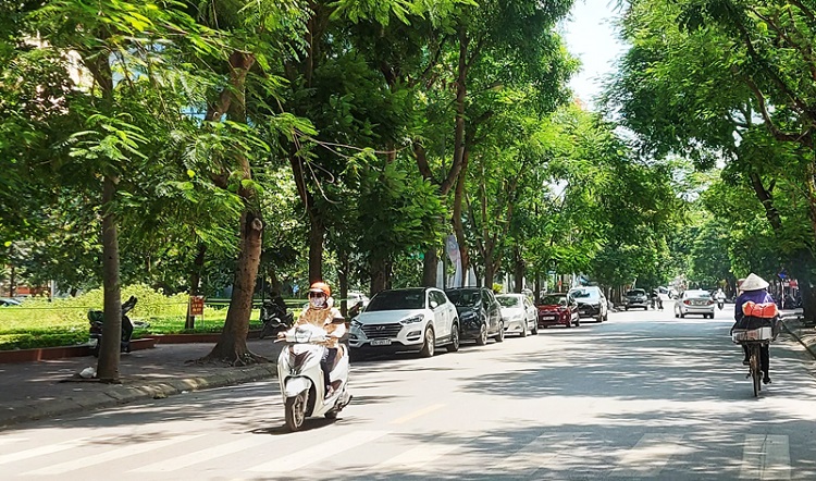 tin tuc du bao thoi tiet hom nay 11 7 2022 01