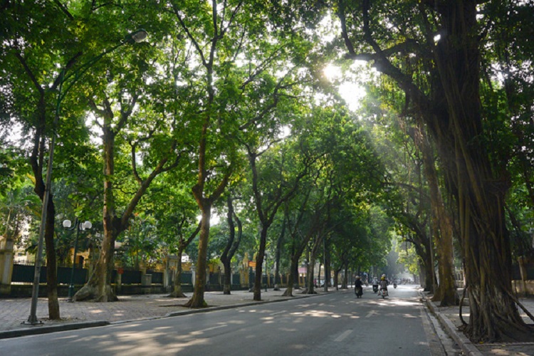 tin tuc du bao thoi tiet hom nay 28 8 2022 ha noi ngay nang chieu toi va dem co mua 01 tin tuc du bao thoi tiet hom nay 28 8 2022 ha noi ngay nang chieu toi va dem co mua 01