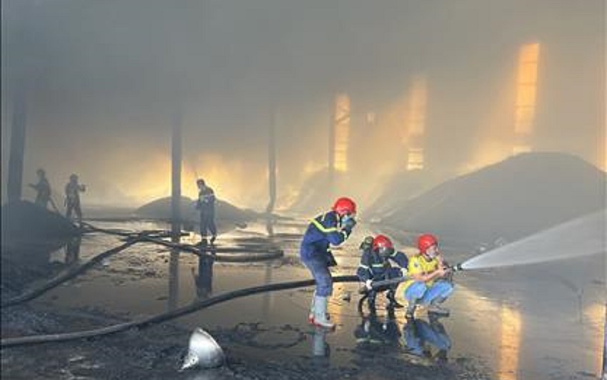 binh phuoc cha y xuo ng sa n xua t vien ne n go rong hon 3 000 m2 02