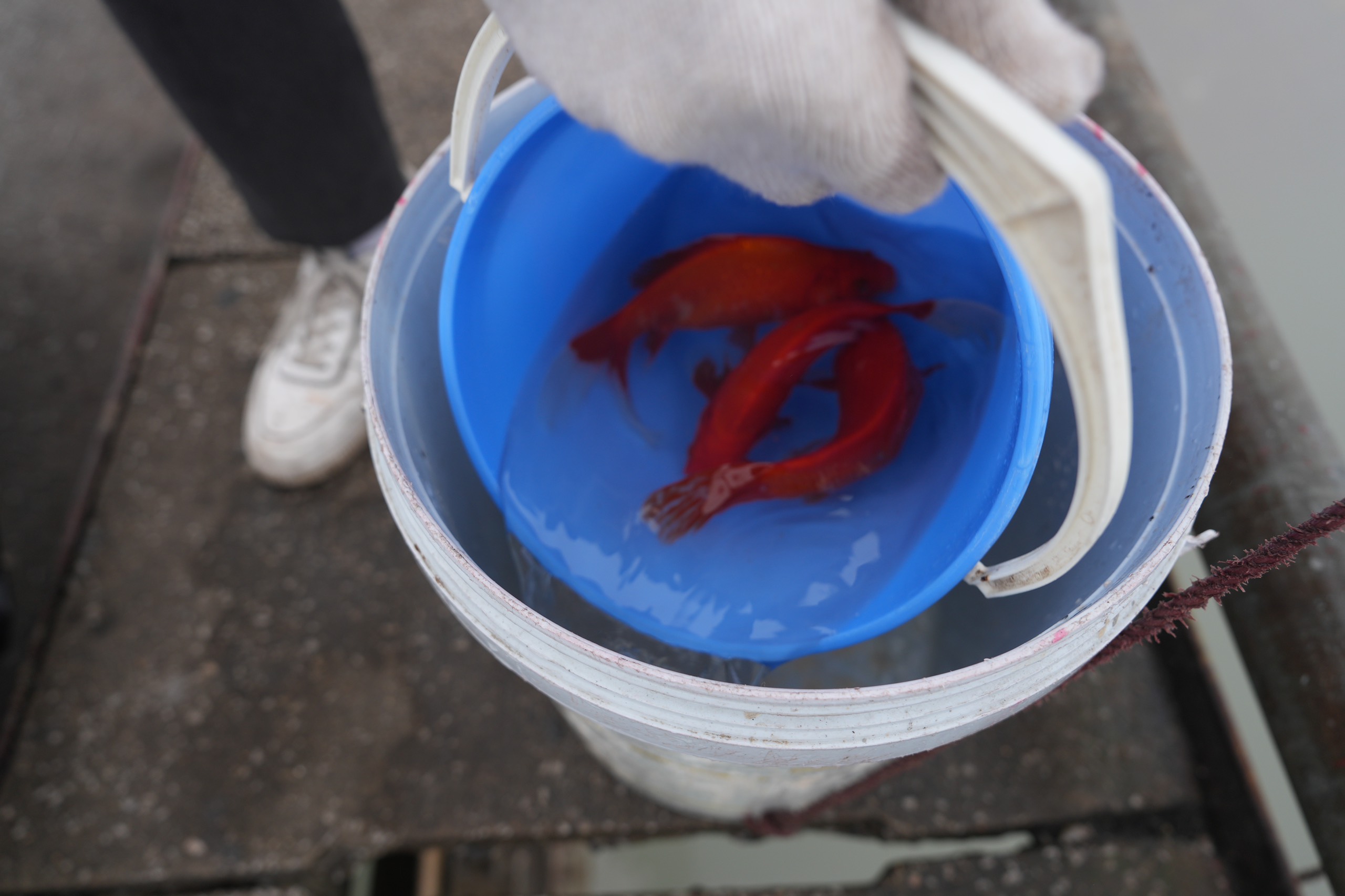 z512906131228352c1ea5d8a88fc4893bf4f27424d7ea5 z512906131228352c1ea5d8a88fc4893bf4f27424d7ea5