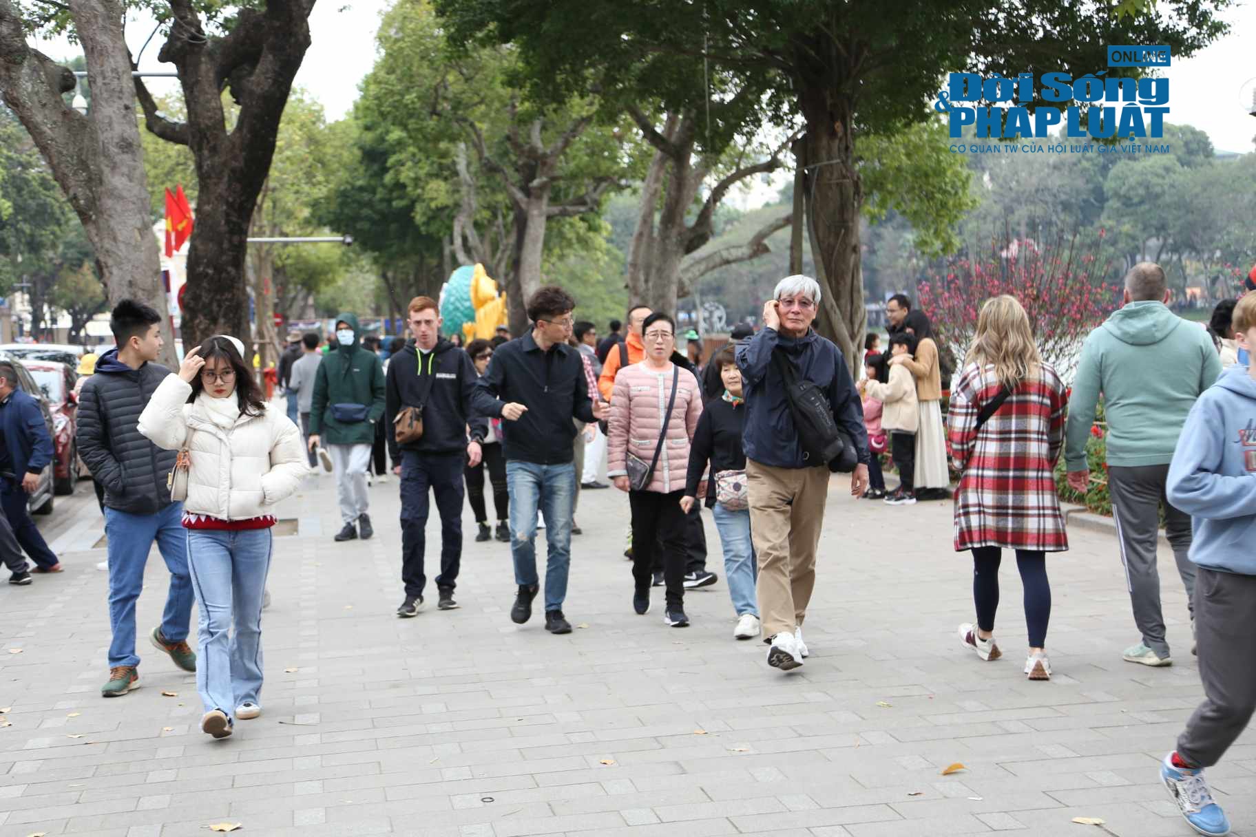 42633304410886856557099325279251498710229956n