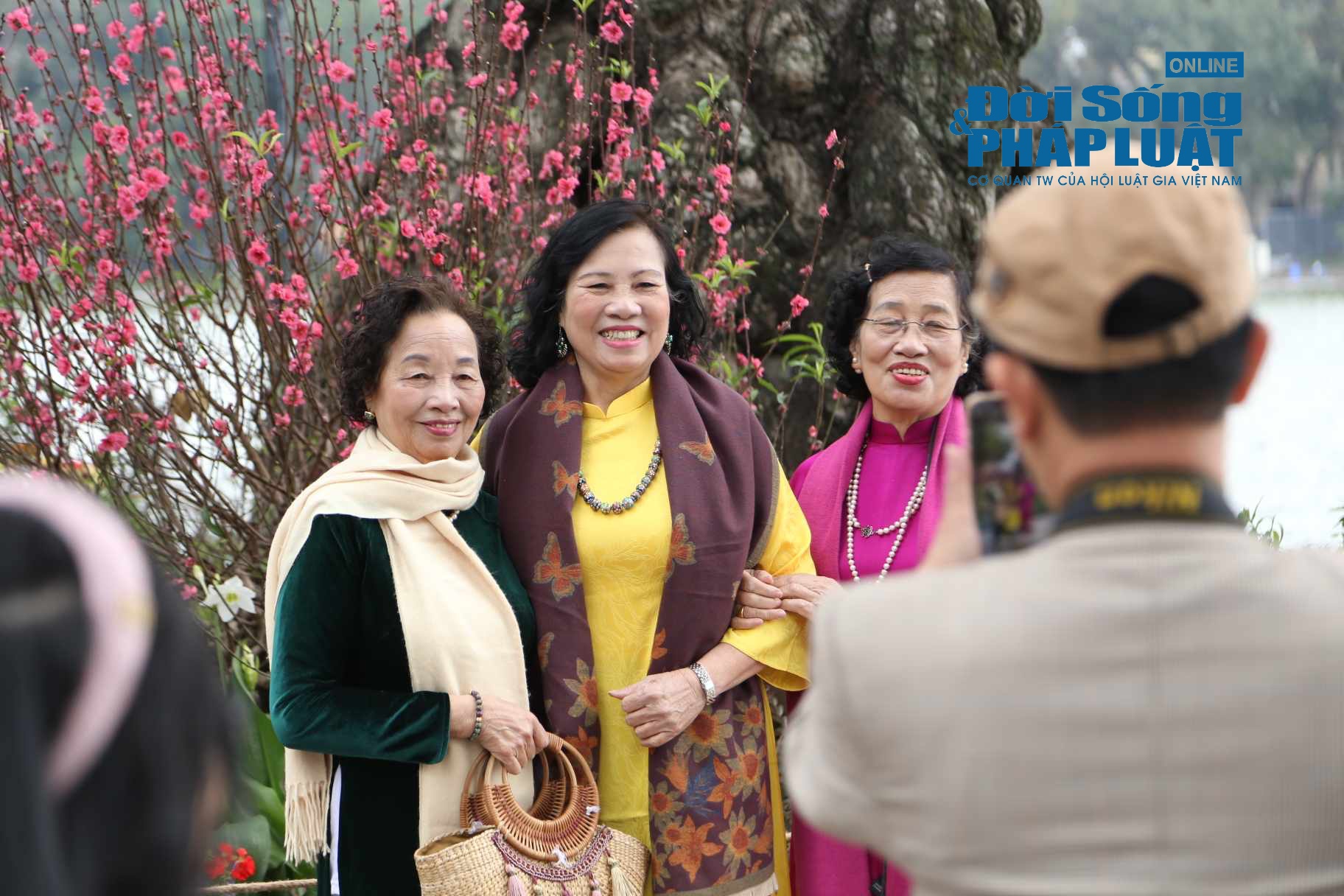 42641099921342875869148838498411257554860320n