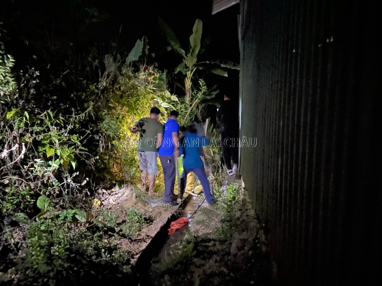 1b7de4cb20ad8cf3d5bc