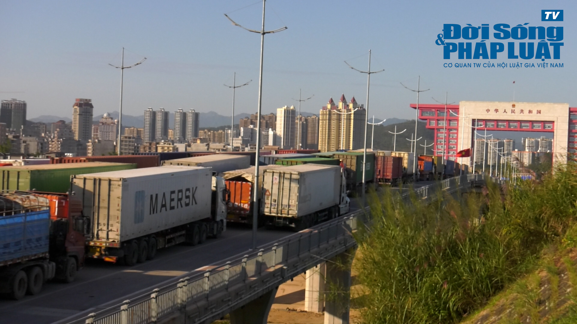 7000 ty00013820still004