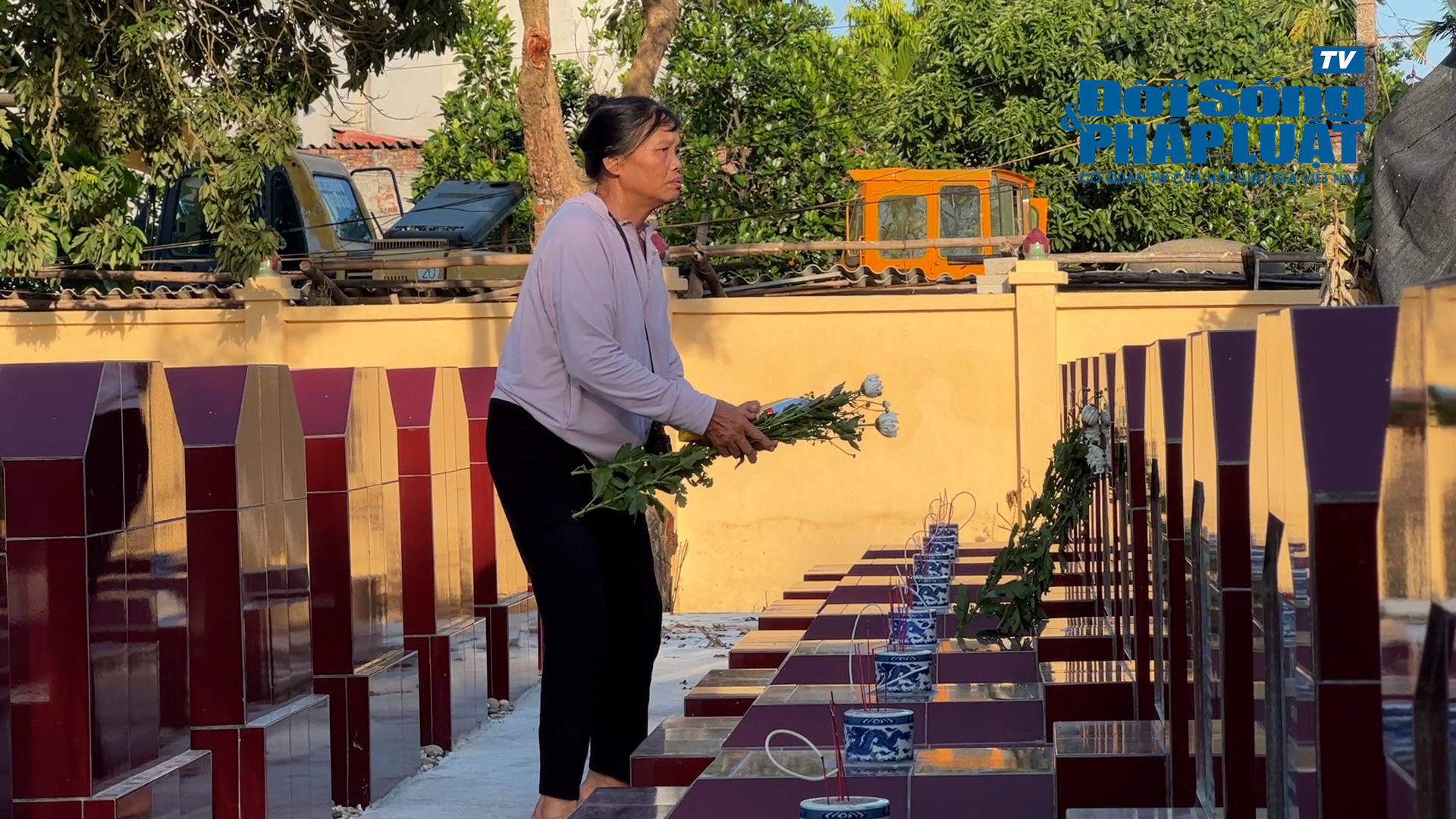 vinamilk00201437still029