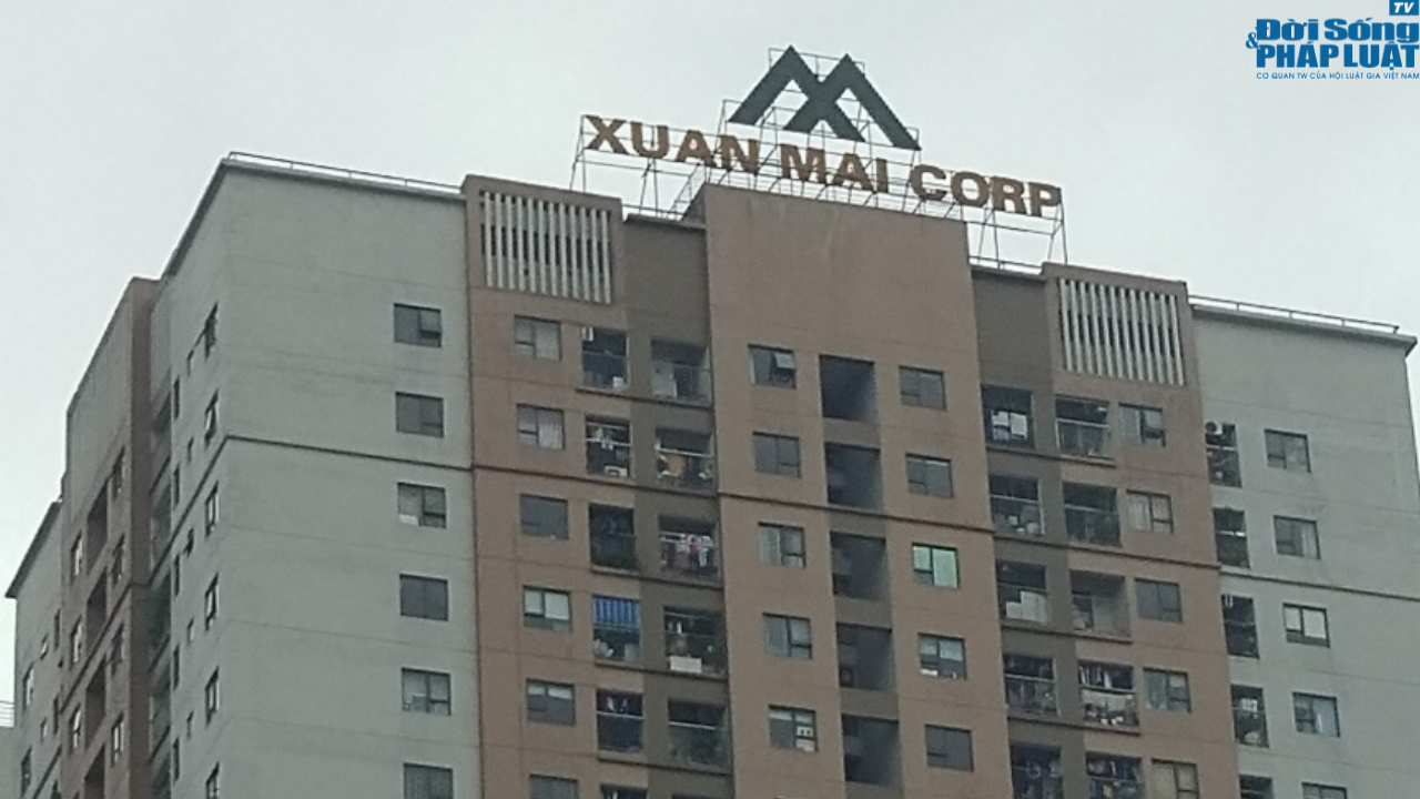 anh2xuanmai anh2xuanmai