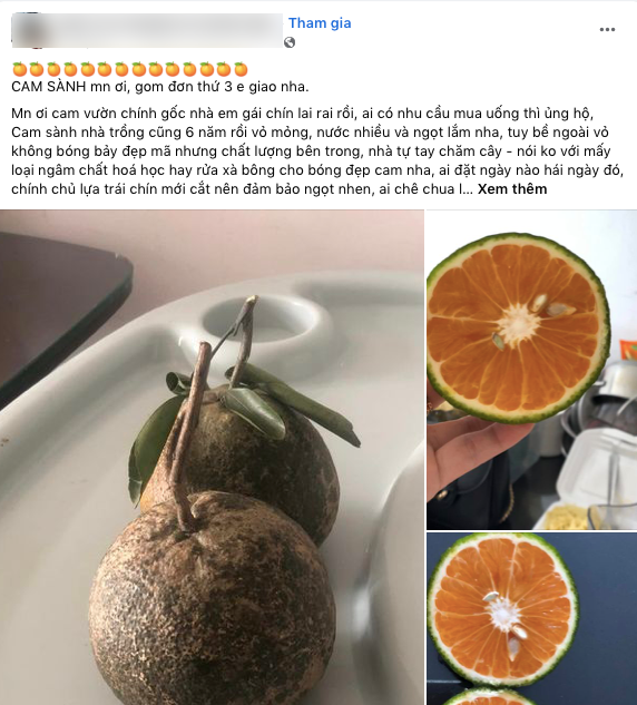 dan van phong gom don dat mua hang chung nguoi que dung lon va nhung cach tiet kiem chi phi sam tet 317253800 1612705869177888 7257554607385075616 n 1672730867 825 width572height633 dan van phong gom don dat mua hang chung nguoi que dung lon va nhung cach tiet kiem chi phi sam tet 317253800 1612705869177888 7257554607385075616 n 1672730867 825 width572height633