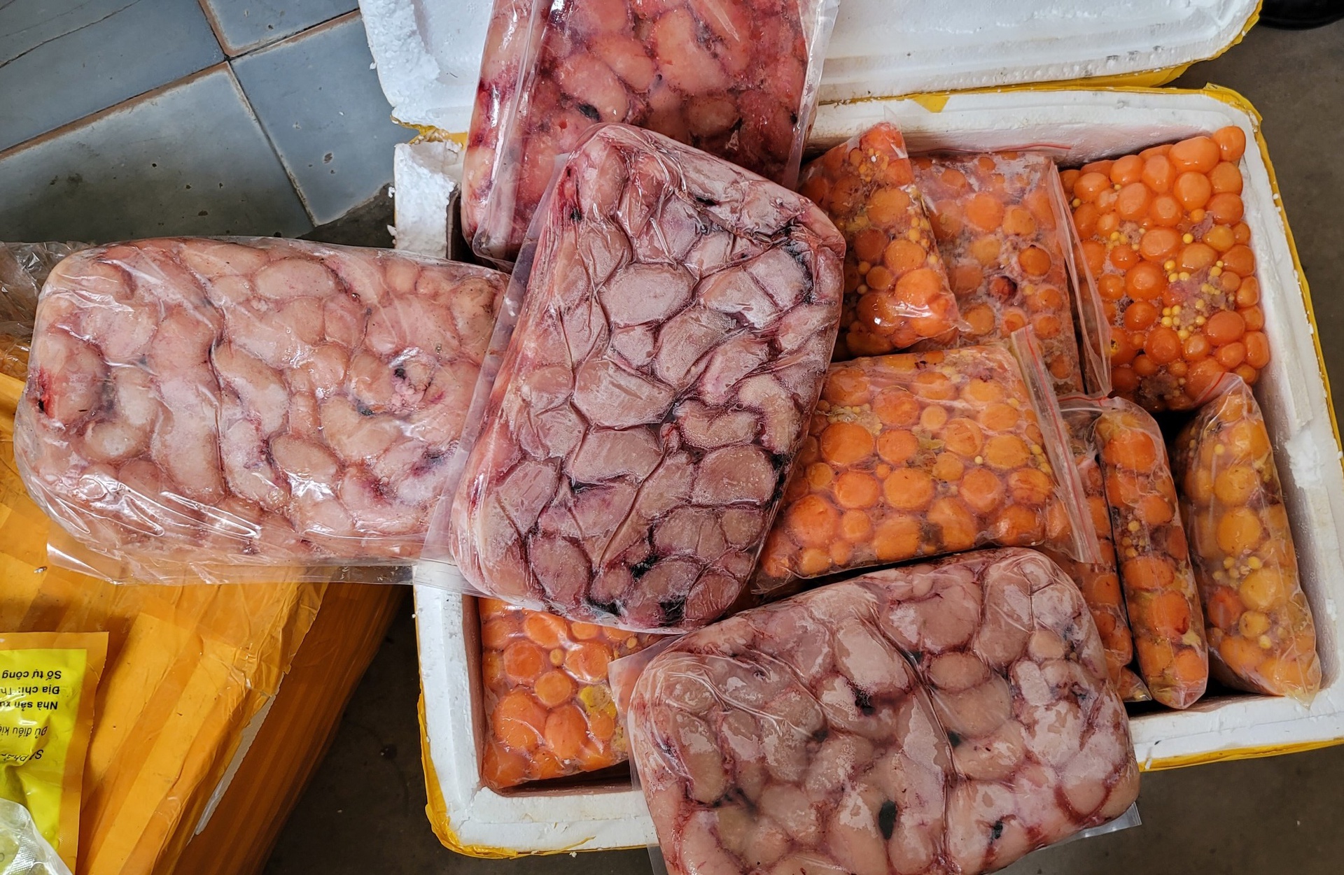 noi tang dong vat khong ro nguon goc noi tang dong vat khong ro nguon goc