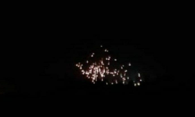 chien su syria 1