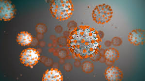 bien the sars cov 2 duoc quan tam