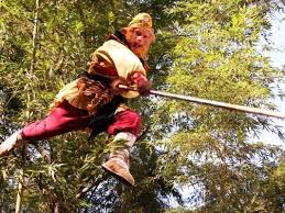 gay nhu y ton ngo khong