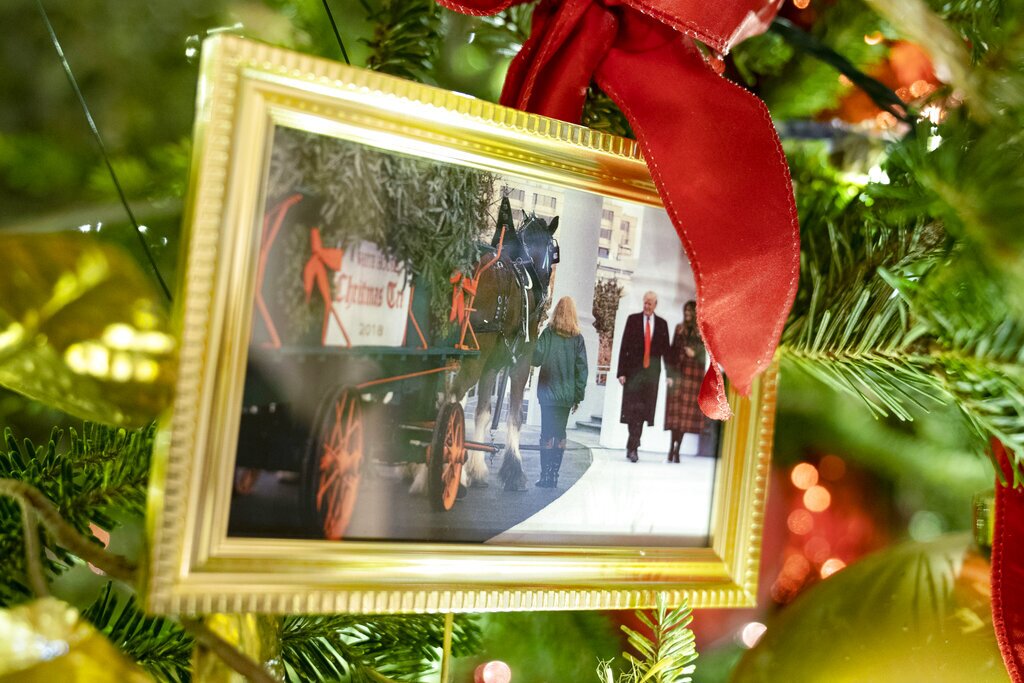 hinh anh vo chong cuu tong thong donald trump