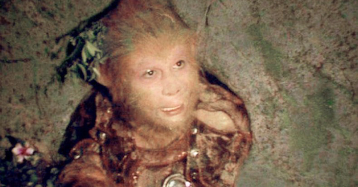 ton ngo khong bi giam duoi ngu hanh son