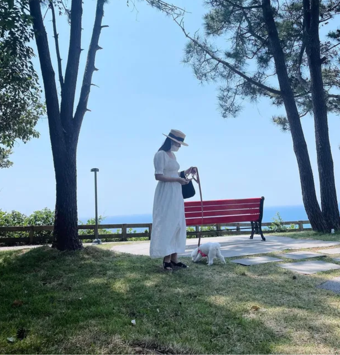 screen shot 2022 05 29 at 162455 screen shot 2022 05 29 at 162455