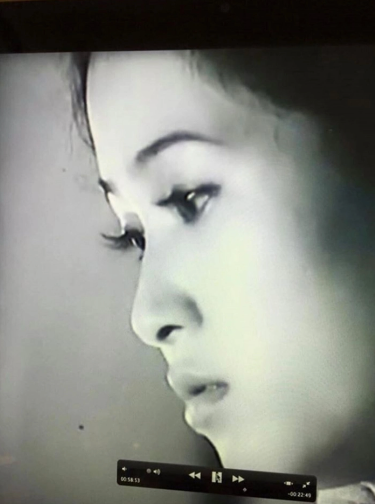 nghe si lan huong 9 nghe si lan huong 9