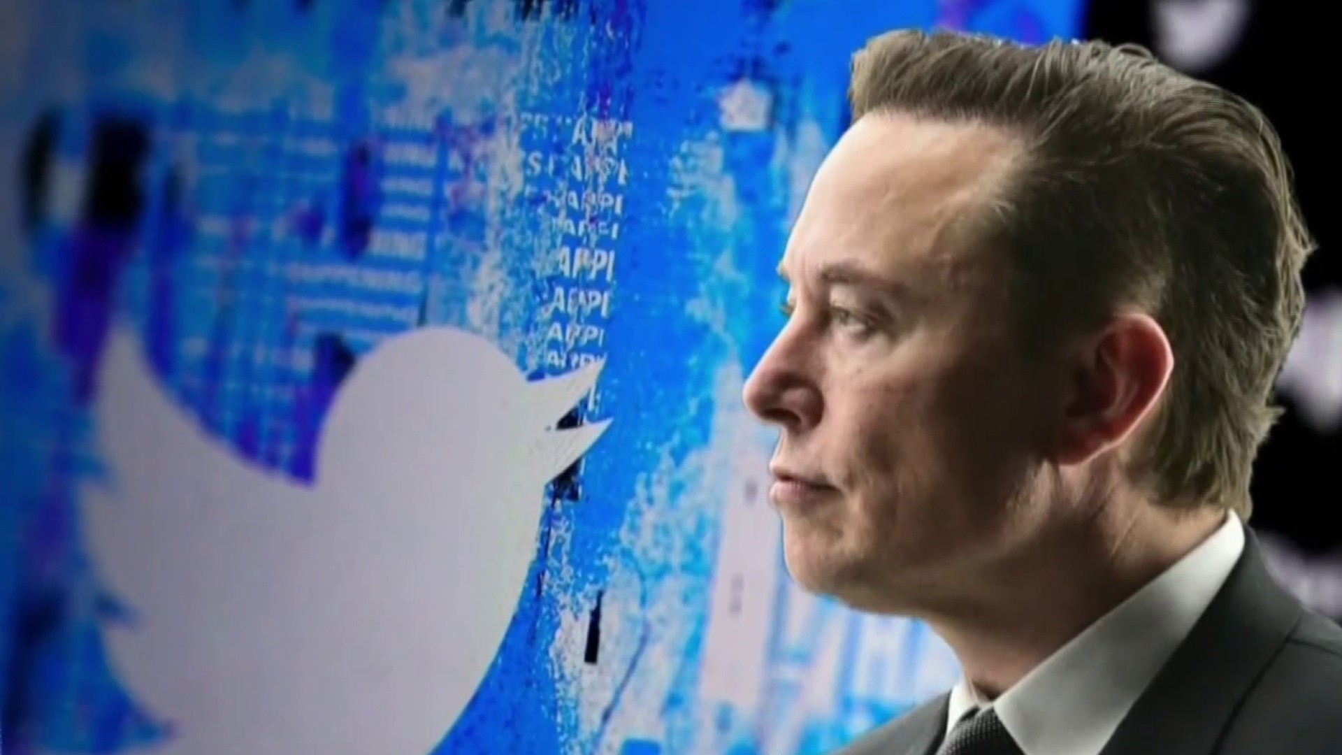 ty phu elon musk tiep quan twitter ty phu elon musk tiep quan twitter