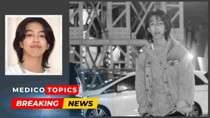 nam ca si nhat ban nam ca si nhat ban