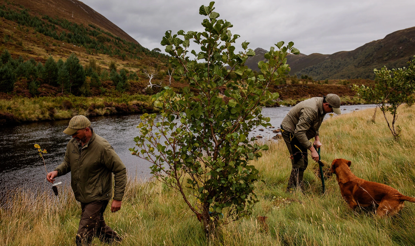 scotland khoi phuc hoang da3