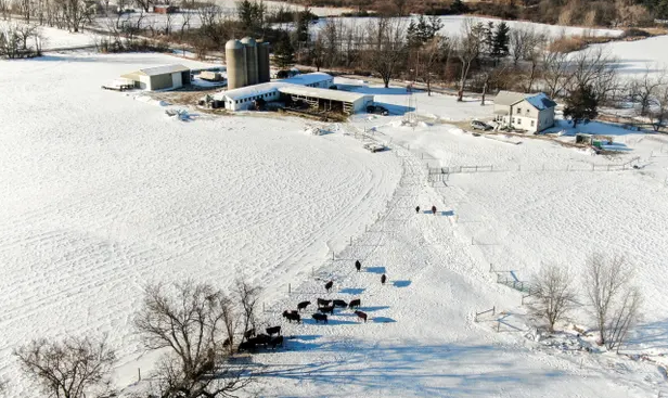 gia lanh khac thuong