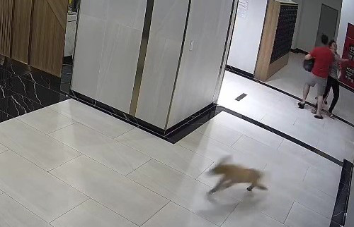 chu cho danh nguoi chu cho danh nguoi