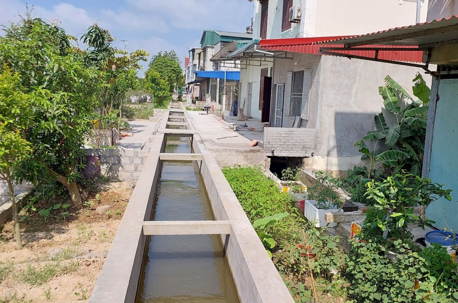 thai binh xu ly 220 vu vi pham hanh lang bao ve cong trinh thuy loi trong nam 2023 thai binh xu ly 220 vu vi pham hanh lang bao ve cong trinh thuy loi trong nam 2023