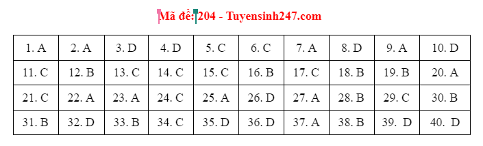 dap an de thi mon vat ly ma de 204 205 206 tot nghiep thpt 2021 chuan nhat chinh xac nhat dspl