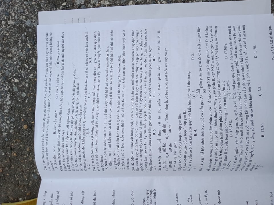 sinh 204 02 sinh 204 02