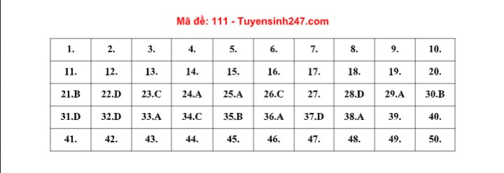 dap an de thi mon toan ma de 111 tot nghiep thpt 2022 nhanh nhat chuan xac nhat dap an de thi mon toan ma de 111 tot nghiep thpt 2022 nhanh nhat chuan xac nhat