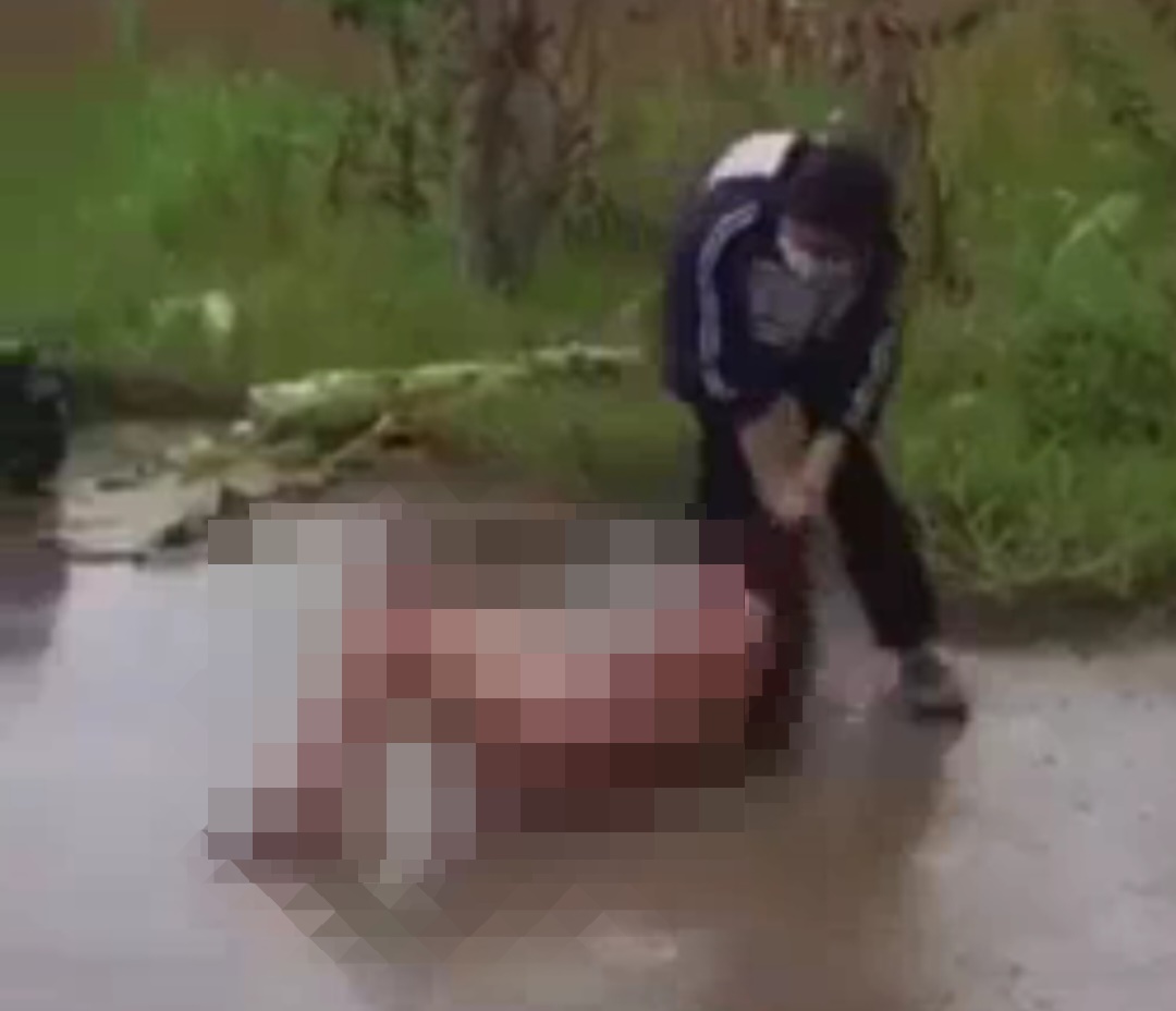 dieu tra clip nu sinh lot do danh ban giua duong o ha tinh 26 8 dieu tra clip nu sinh lot do danh ban giua duong o ha tinh 26 8